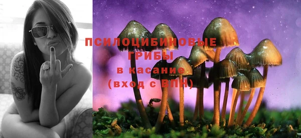 ALPHA-PVP Богородск