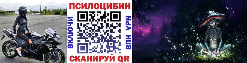 Псилоцибиновые грибы Cubensis Невель
